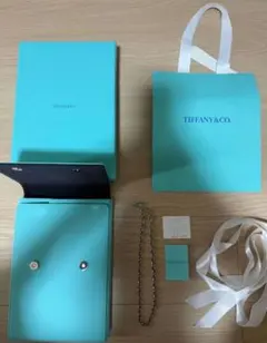 ピカリン様確認済ですTiffany & Co. ハードウェアスモールネックレス