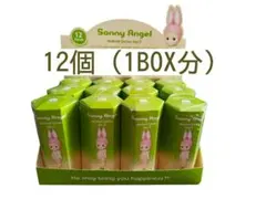 Sonny Angel アニマル シリーズ1 Ver.1 Animal １２個