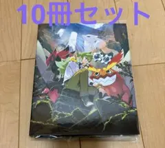 ポケモンカード　バトルパートナーズ　コレクションファイルN