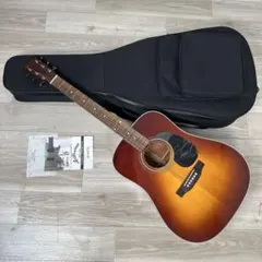 アリア ドレッドノート アコースティックギター AD-40LTD r2※のサムネイル