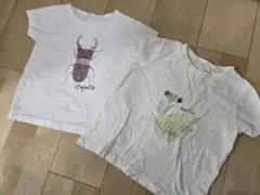 InsectCollection Tシャツ 2枚セット M　100、110cmのサムネイル