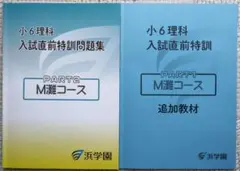 浜学園小6 理科 M灘コース 入試直前特訓問題集 テキスト／追加教材2024h1