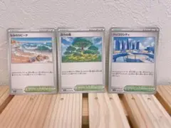 【ポケカスタジアム】活力の森 なみのりビーチ ハッコウシティ