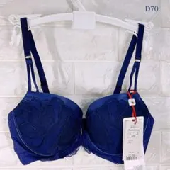 トリンプ　プレミアム　ゴールドレーベル3041 ブラジャーD70