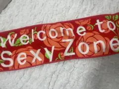 Item thumbnail for item be84eaa2-209e-461e-8ed4-5a6590ece4f4