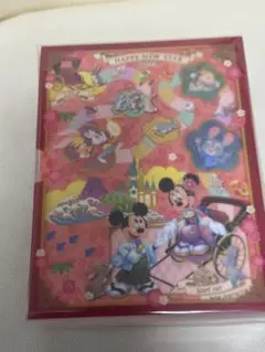 東京ディズニーリゾート ポストカードホルダー2023年正月用　新品未開封