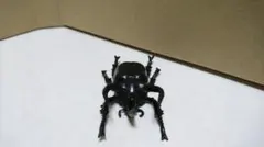 コーカサスオオカブト リアル フィギュア 昆虫