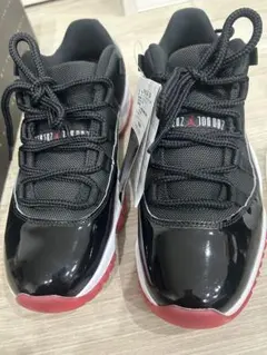 Item thumbnail for item 3493298f-4932-464d-b282-4e83e6e8f705