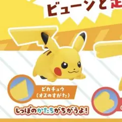 ポケモン プルバックマスコット ピカチュウ オス