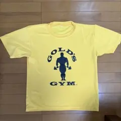 ゴールドジムtシャツ