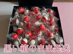 ポケモン モンスターボール スクイーズ 100個セット セカンドストリート懸賞品 ポケモン モンスターボール スクイーズ 100個セット セカンド