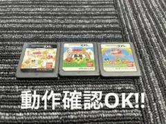 DS ソフト たまごっちのプチプチおみせっち　ごひーきに　みなサンきゅー！セット