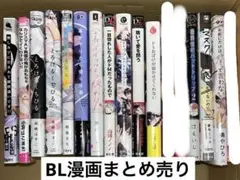 BL漫画 14冊 まとめ売り ボーイズラブ 漫画