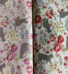 ボタニカル 猫 2色 set