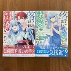 落ちこぼれ令嬢は、公爵閣下からの溺愛に気付かない　1、2巻