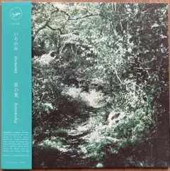 2025年最新】いろのみ レコードの人気アイテム - メルカリ