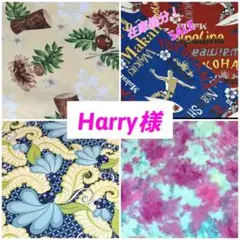Harry様 リクエスト 4点 まとめ商品