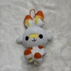 포켓몬 ドールズ もっちりマスコット ヒバニー 포켓몬 センター ぬいぐるみ