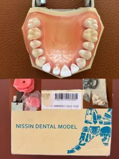 2025年最新】ニッシン歯科の人気アイテム - メルカリ