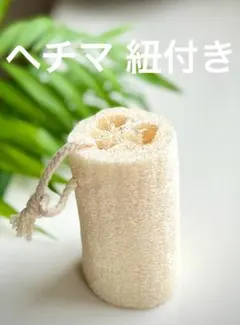 天然素材へちまスポンジ ヘチマスポンジ ヘチマタワシ ヘチマたわし