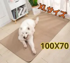 【値下げ】ペットマット　XL　ペットシーツ　ブラウン　大型犬猫　中型犬猫　洗濯可