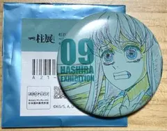 鬼滅の刃 柱展　エモーショナル缶バッジ 時透無一郎　06 鬼滅の刃 柱展 エモーショナル缶バッジ エモ缶 時透無一郎 - メルカリ