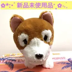 パトラッシュぬいぐるみ(非売品)鈴付き 2026年最新】パトラッシュ ぬいぐるみの人気アイテム - メルカリ