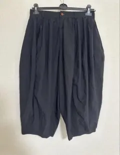 2026年最新】COMME des GARCONS HOMME PLUS メンズ ショートパンツ