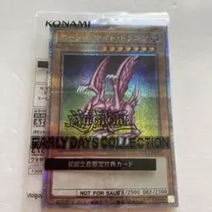 2026年最新】ホーリーナイトドラゴンの人気アイテム - メルカリ