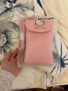 サンリオ ハローキティ 一番くじ ミニショルダー