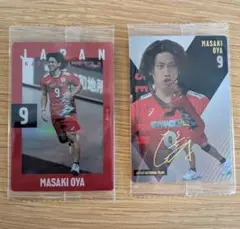 Item thumbnail for item 5b5f73a0-cf81-4226-8c90-a08c3424b071