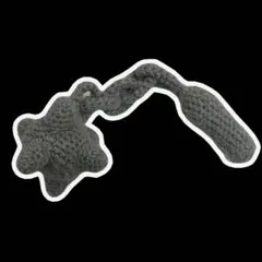 モーニングスター　ミニサイズ