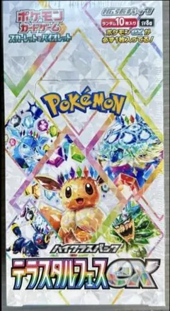 テラスタルフェス