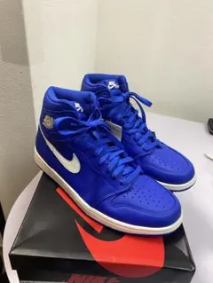 NIKE Air Jordan 1 ブルー 10 (US)