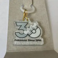 ポケモン　ポケチャーム　ロゴマスコット