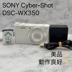 2026年最新】SONY DSC WX350の人気アイテム - メルカリ