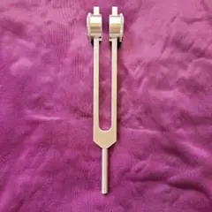 美品☆BioSonics クリスタルチューナー528と4096 - メルカリ