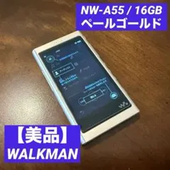 【美品】SONY ウォークマン NW-A55 本体