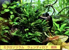 里のダイヤモンド様 リクエスト 2点 まとめ商品