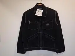 Item thumbnail for item 3b6c6b47-ea9f-4ff4-b0f3-25d15a3ce1ac