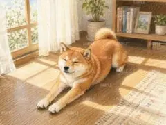 日向ぼっこで伸びをする柴犬の癒やしのイラスト d14