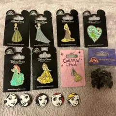 ディズニー　ピンバッジセット　アナ雪　ベル　ラプンツェル　海外　ピンズ