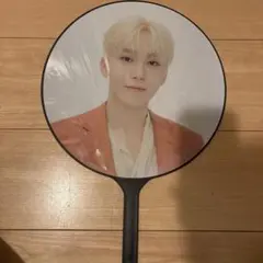 SEVENTEEN BETHESUN うちわ SEVENTEEN セブチ ジョシュア ワールドツアー BE THE SUN JAPAN うちわ