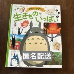 Rae様 リクエスト 2点 まとめ商品