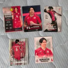 バレーボール日本代表 2026年 トレーディングカード　山内晶大