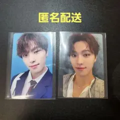 seventeen dream 会場限定　名古屋　東京　ディノ