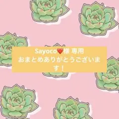 Sayoco❤️様 リクエスト 4点 まとめ商品