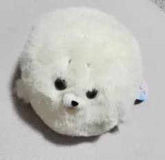 もちもふ！アザラシ まろ 新品　はのサムネイル