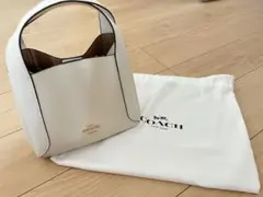 Item thumbnail for item 7f2bc162-b0d1-4e52-be62-bcaa8877e497