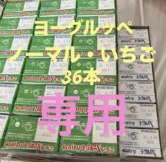 デイリー　ヨーグルッペ　いちご　200ml ２ケース